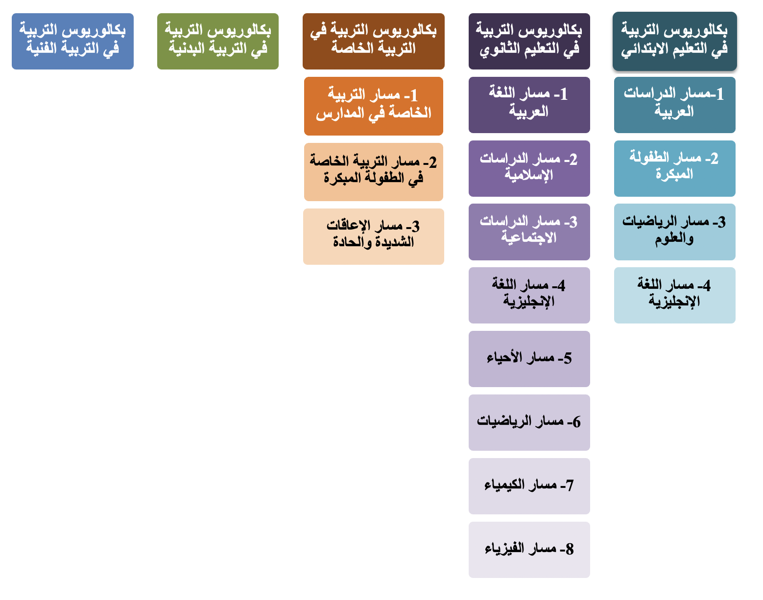 Graph CED Plans (2).png